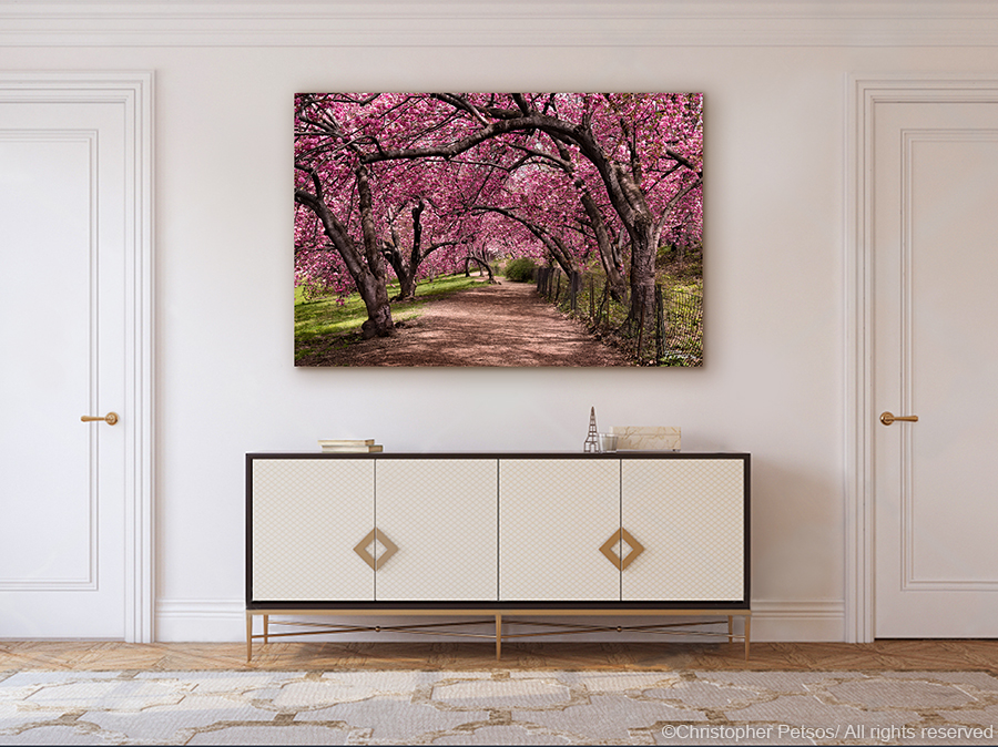 Central Park Cherry Blossoms print by Christopher Petsos hanging above a credenza