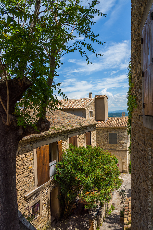 Trees and houses in town of Gordes Provence by Christopher Petsos 