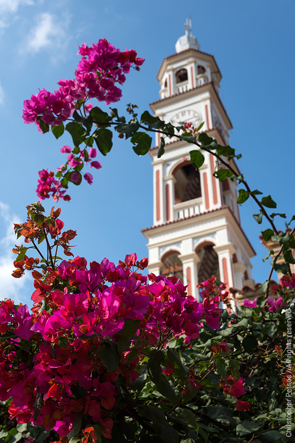 magenta bougainvillea flowers with a church clock tower and blue sky
