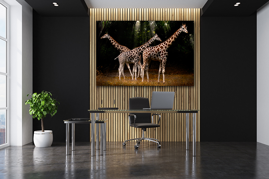 Christopher Petsos giraffe photography print hanging in a modern interior