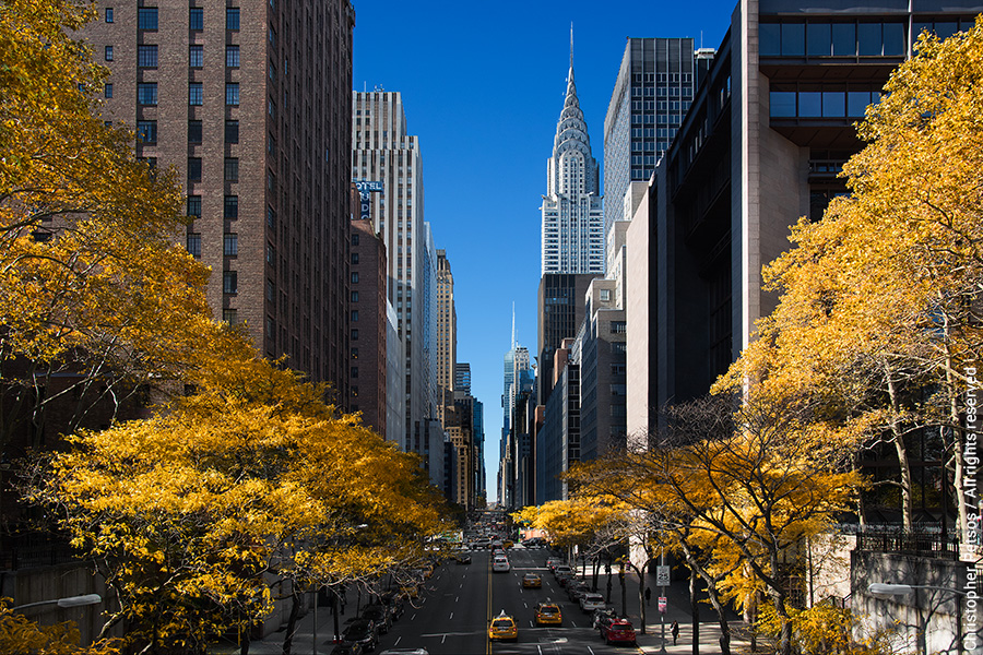 Photo of Autumn leaves on trees lining 42nd Street in Tudor ity New York