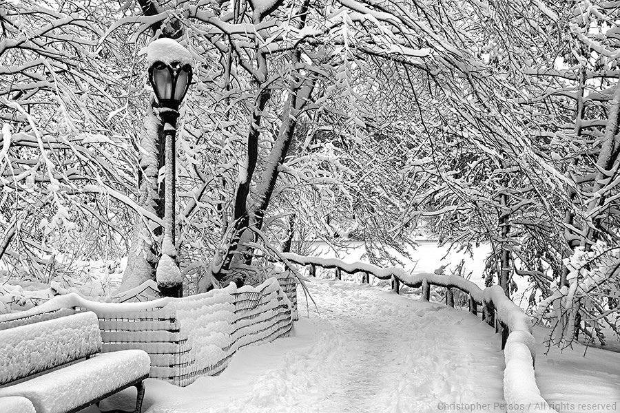 Snow covered bench and path in Central Park